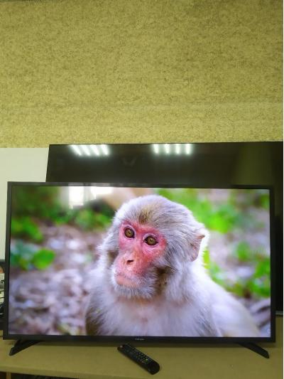 Телевизор ЖК SAMSUNG UE43N5000AU